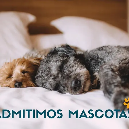 Marina Mar Vilagarcia 3000 Апартаменты Villajuan